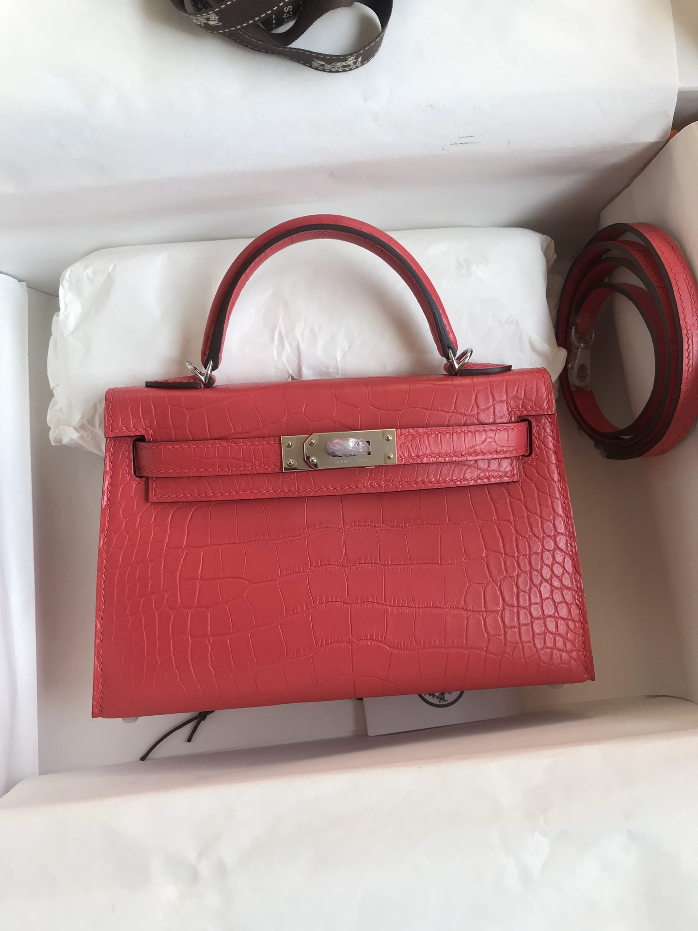 Kelly mini