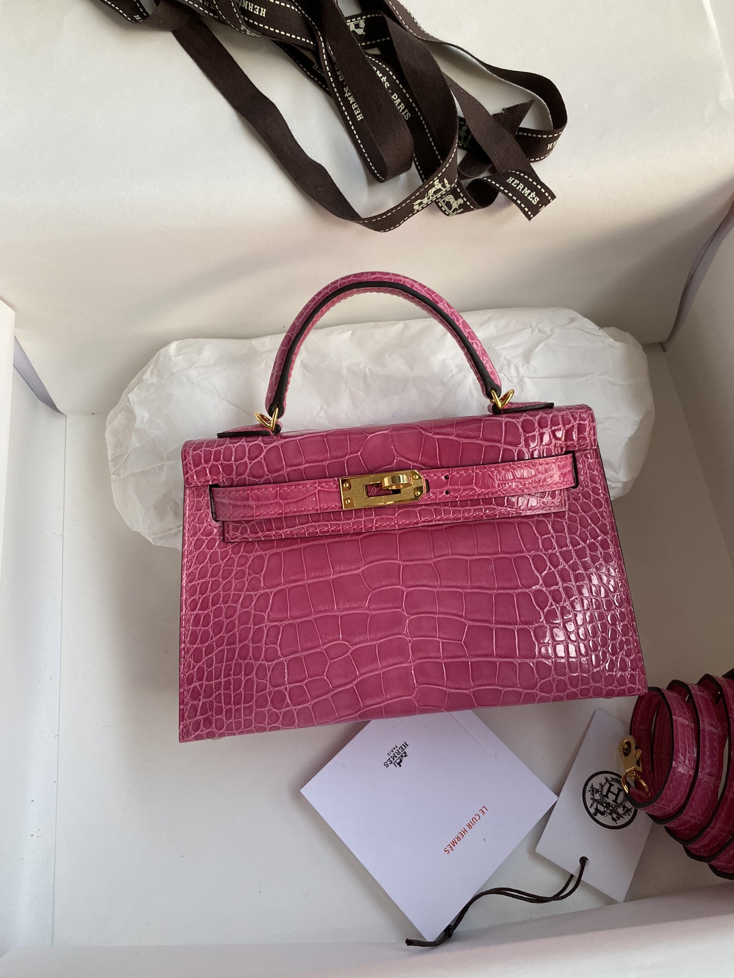 Kelly mini