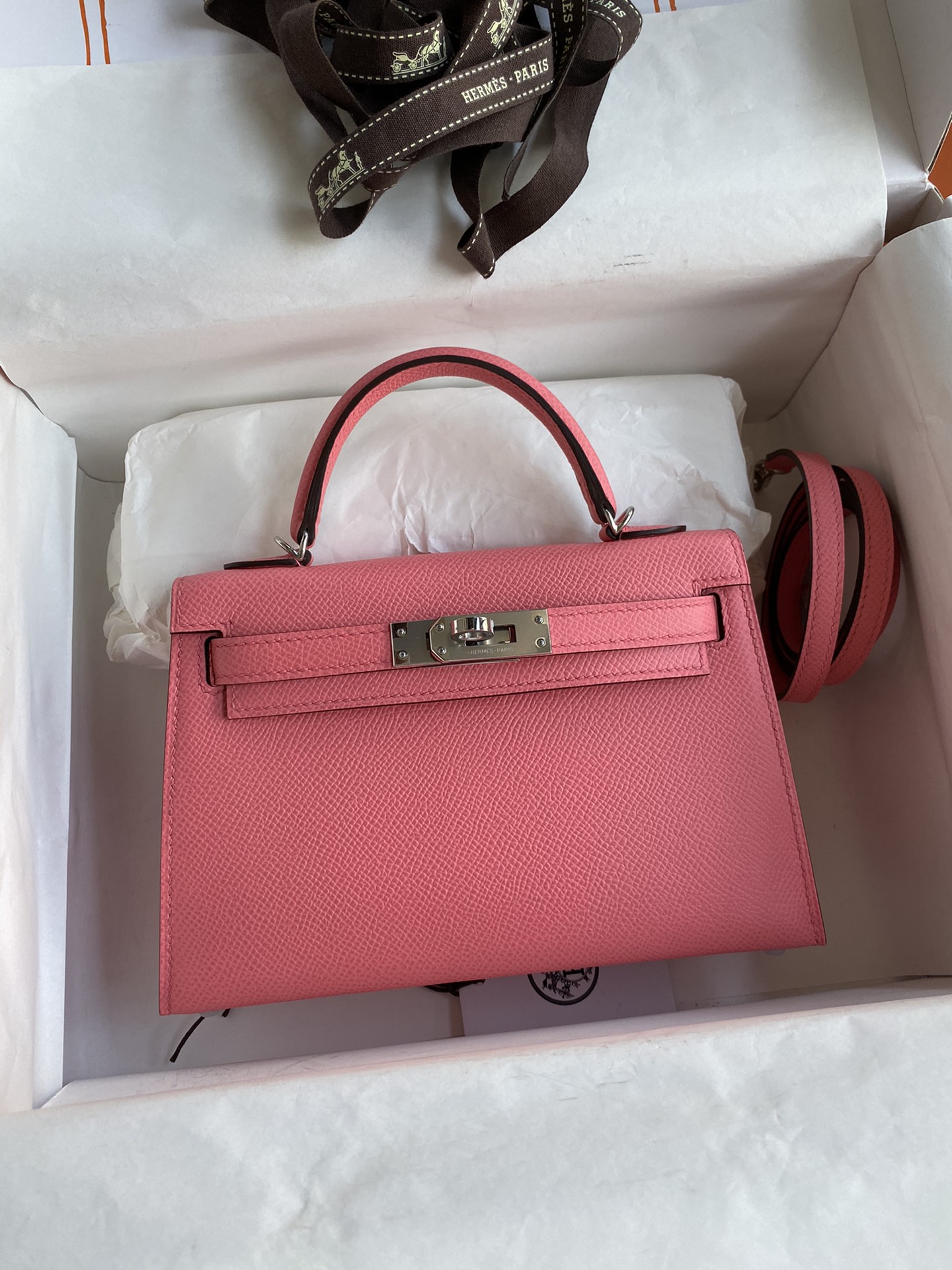 Kelly mini